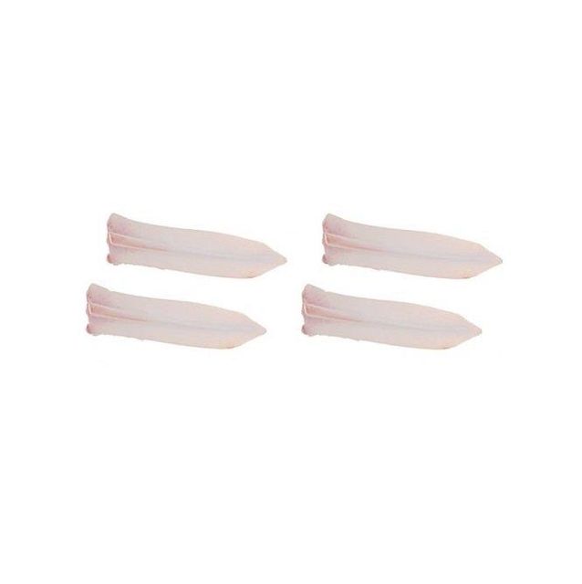 Wholesale Frozen Chicken Breast Cartilage, Global Shipping - Image 3