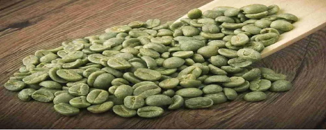 Green Coffee Beans - Image 1