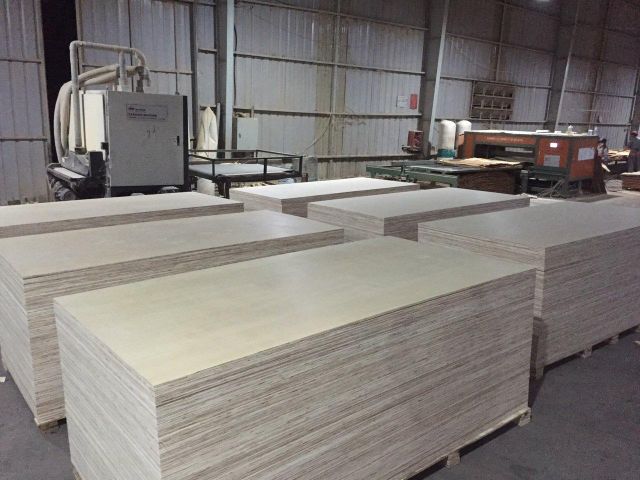White Birch Plywood 1250mm x 2500mm 5mm-25mm BB/CC - Image 3