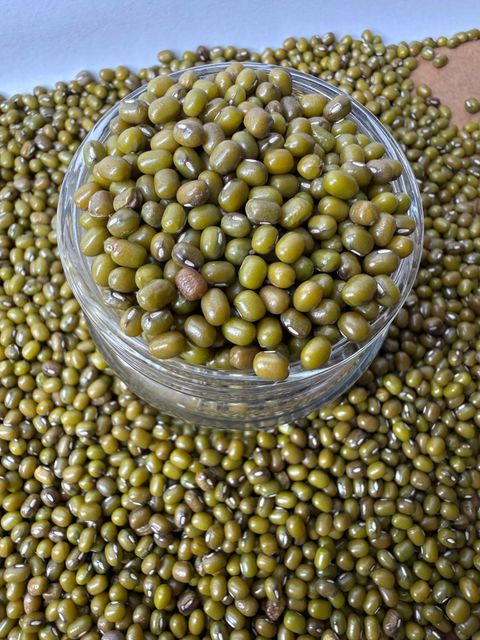 Green Gram (Moong), Mung Beans, Mongo Beans, Golden Gram, Jerusalem Pea - Image 5