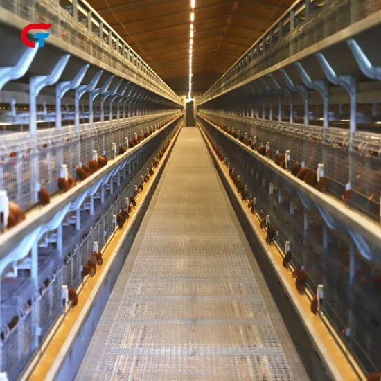 Aumotic New Technology Battery Layer Chicken Animal Cage - Image 1