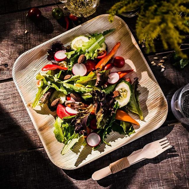 Premium Eco-Friendly Palm Leaf Plates - 100% Natural & Biodegradable Tableware from Vietnam - Image 2
