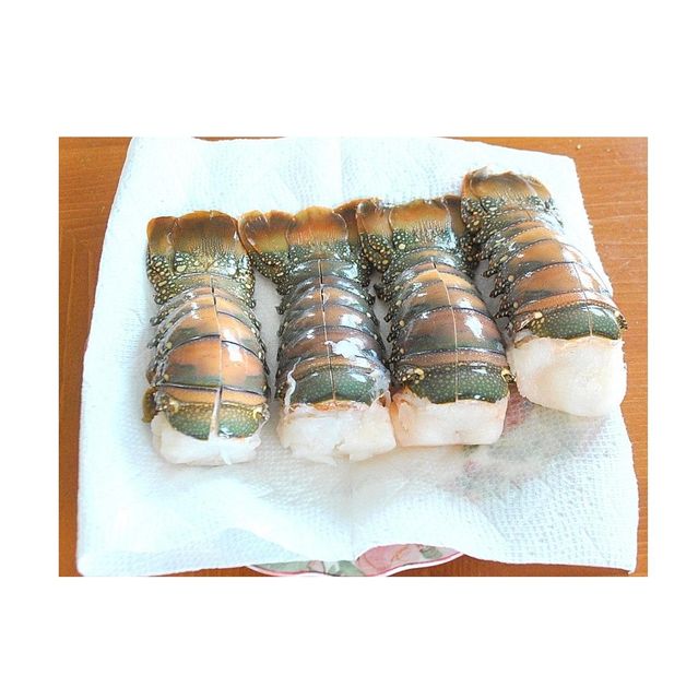 Frozen Lobster Frozen Lobster Tails Fresh Live Lobsters Cut Other Fat Content Low Preservatives No Meat Yield 85–90%% Texture Firm, Juicy - Image 1