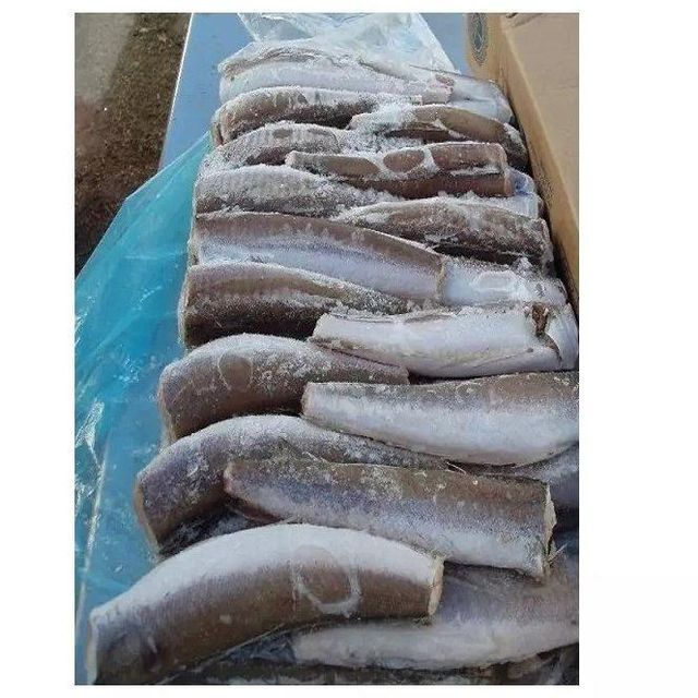 Available Stock Of Frozen Hake Fish/ Frozen Hake Fillet Fish. - Image 3