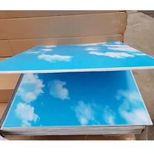 Aluminum Composite Panel PVC Gypsum Ceiling Color White HS Code 392590 Pattern Customized Model NO. 595*595mm Delivery Time - Image 5