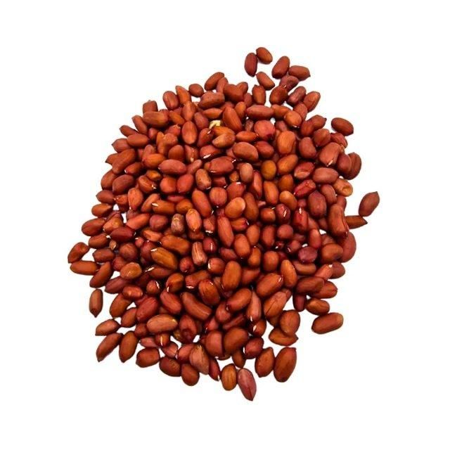 Whole Sale 100% Organic Peanut ,Dried Peanuts Groundnut Raw/Fresh Red Skin Arachid on Discount - Image 3