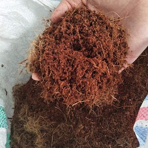 Coco peat - Image 1