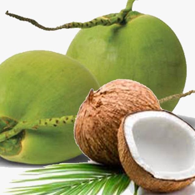 Fresh Young Coconut From Viet Nam OEM Brands Cheap Price Good Quality Sweet Fresh Coconut - Image 1