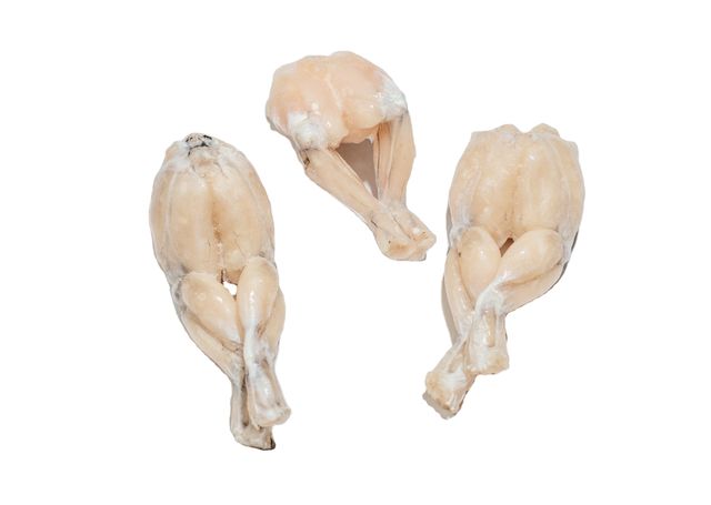 cleaned skinless bull frog leg meat frozen frog legs for sale - Image 3