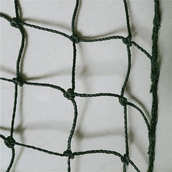 HDPE/Polyester/PP/Nylon Sport/Poultry/Fishing/Football Net - Image 1