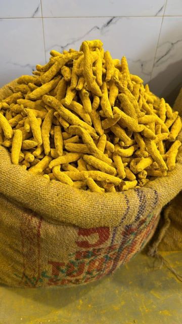 DOUBLE POLISHED TURMERIC FINGER - Image 1