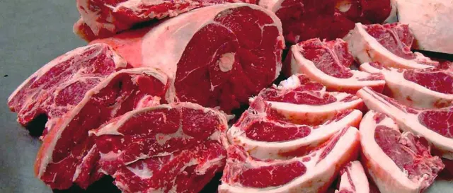 Wholesale Bulk Frozen Halal Beef Meat Supplier - Image 3