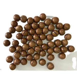 New Crop Yunnan Raw Macadamia Nut in Shell - Image 3