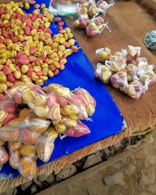 kolanut - Image 2
