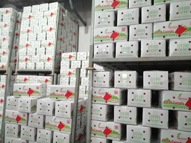 Wholesale Carrot from China Low Price - Image 4