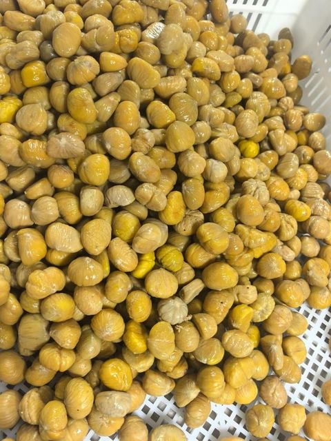Dry Nuts Raw Fresh Chestnuts IQF frozen water chestnut Form Whole Organic Yes Origin China Degree of Processing Natural - Image 4
