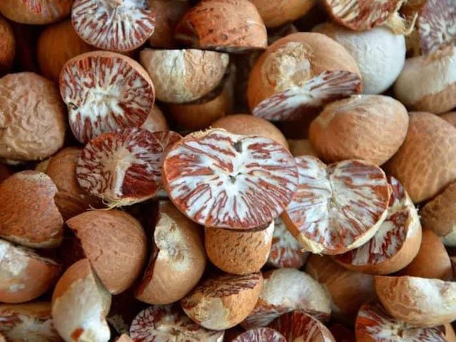 Selected Grade of Betel Nut Supply Brand Quality Product From Thailand Manufacture Export Large Market - Image 1