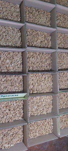 walnuts kernel Type kernel Origin Uzbekistan Product Form Kernel Mix Walnut Weight 5 Kg Manufacturer Uzbekistan Packing Box Weight 6.2 Kg - Image 2