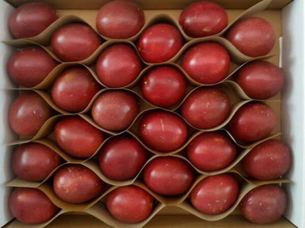 Wholesales Price Fresh Fruit Natural Sweet Passion fruits With 2kg/carton Packaging From Vietnam For Export - Image 3