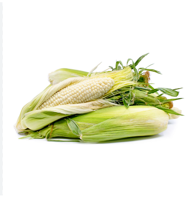 Fast Delivery White Corn Maize Non Gmo 10kg 25kg 50kg Premium Quality White Kernels Clean Sorted Grain High Nutrition Value Ideal For Cooking Feed And Bulk Supply Buy Now Premium Quality Wholesale - Image 3