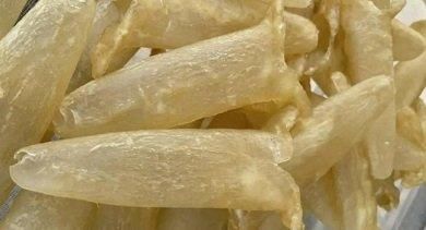 TOP QUALITY RAW DRY FISH MAW WITH BEST PRICE FROM VIETNAM - Image 4