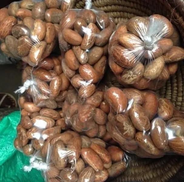 Organic Bitter Kola  - Image 4