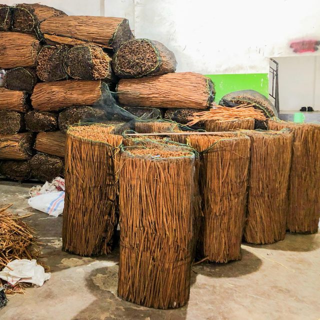 Long Cassia Stick Packaging Details 50 kg HDPE - Image 4