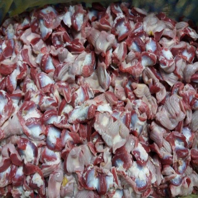 100% Halal IQF Frozen Chicken Gizzard Box Packaging Includes Cutting Parts Chicken Breast Body Paw Fat Vacuum Pack - Image 4