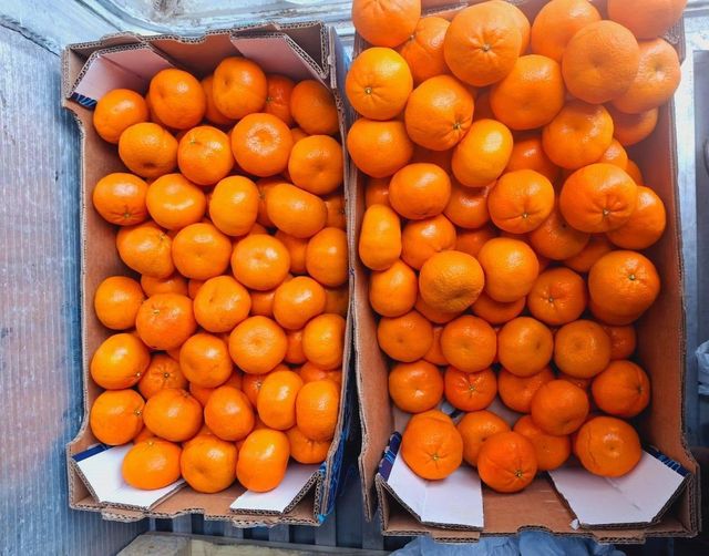 Fresh Murcott Oranges Sweet Juicy Easy Peel Premium Quality For Export quality packing - Image 4