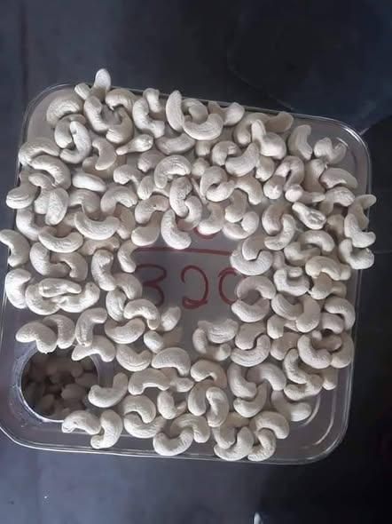 Cashew Nuts/ Cashew Kernels- W180 W240 W320 - Image 3