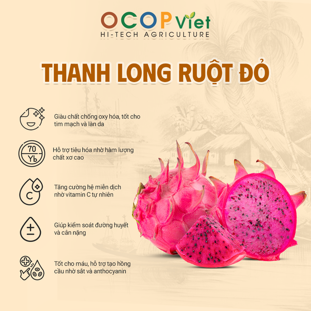 Thanh long ruột đỏ - Red Flesh Dragon Fruit - Image 3