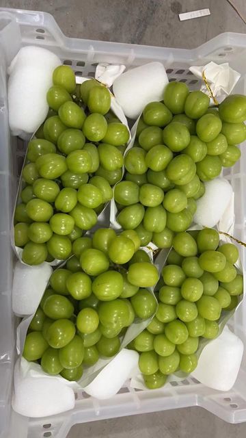 Premium Sunshine Muscat Grapes with Export Quality Supply Grade A/AB Taste Sweet Shape Round Brand Name No Size 800-1200g - Image 4