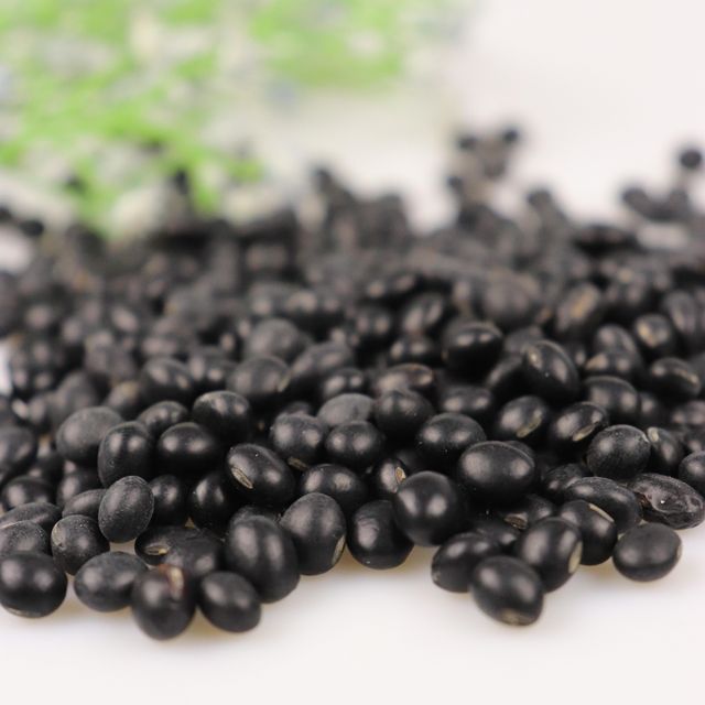 New Crop China Original Dried Black Bean With Green Kernel Black Soybean For Exporting - Image 3