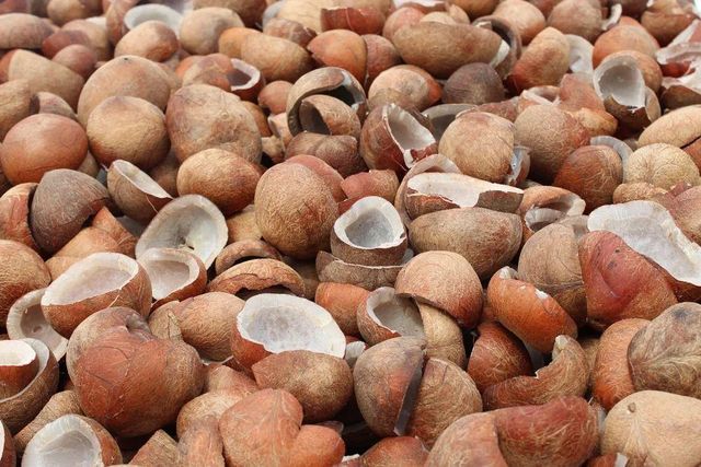 Indian Dried Copra (Ball / Cup Copra) – Export Quality - Image 3