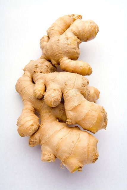 Indian Fresh Ginger – High Oleoresin & Strong Aroma Quality;Soil-Free, Machine-Washed, Ready for Export; - Image 3