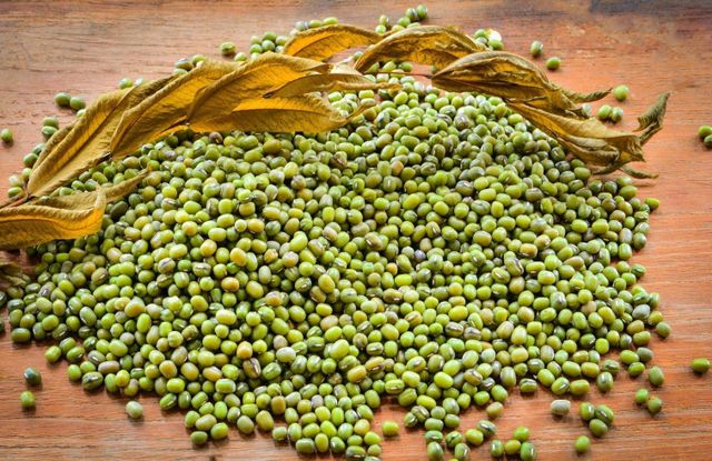Organic Dried Mung Beans Whole Green Gram Vigna Radiata High Purity for Dal Soup Sprouting Bulk - Image 4