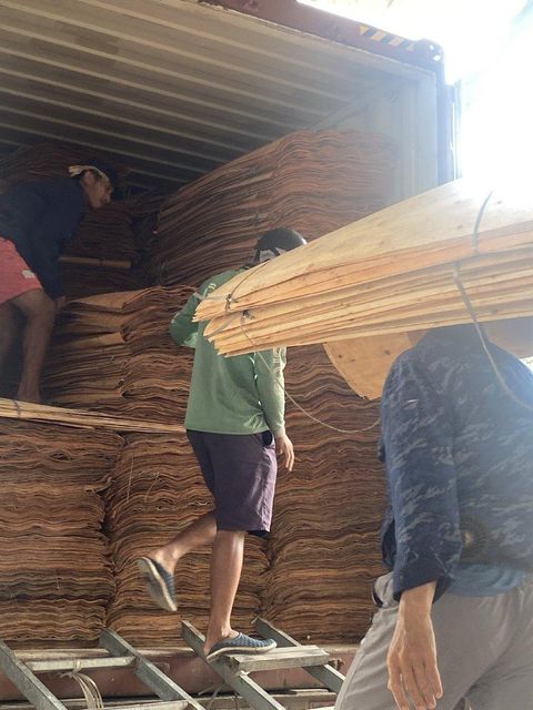 Eucalyptus core veneer Grade A And B Size 1270×640 Mm Thickness 1.7/1.8 Mm Moisture Content Under - Image 2