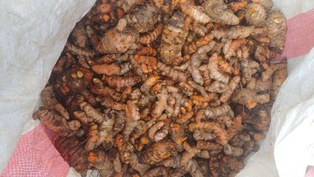 Raw Turmeric - Image 3