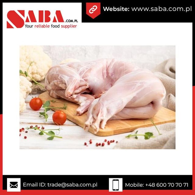 Hot Sales Fresh Frozen Whole Rabbit Meat from Poland High Quality Supply - Image 6
