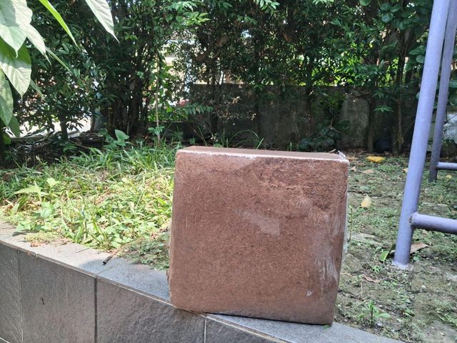 Cocopeat - Image 3