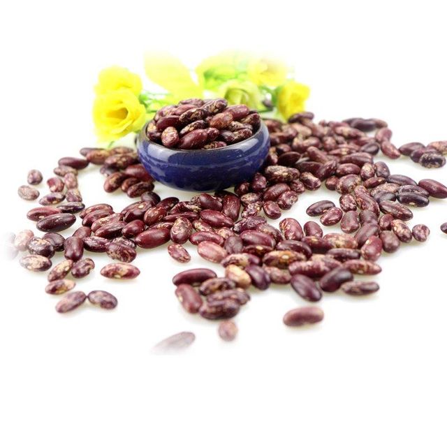 Best Quality Purple Speckled Kidney Bean Long Shape Cooking Red Kidney Beans - Image 4
