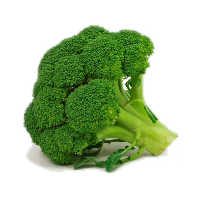 Boosting Immune Health & Vitamin C With Fresh Broccoli Fresh Green Vegetables Direct Exporting From Agro Farm Supply Wholesale - Image 2