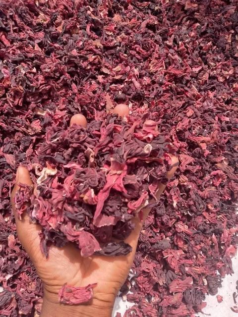 Dried hibiscus flower - Image 3