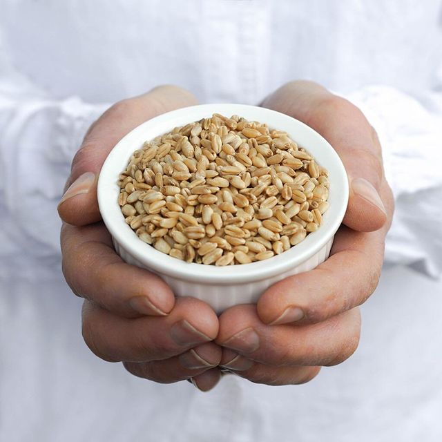 Milling Wheat for Bread Flour Production with Reliable Grain Characteristics for Professional Bakers - Image 3