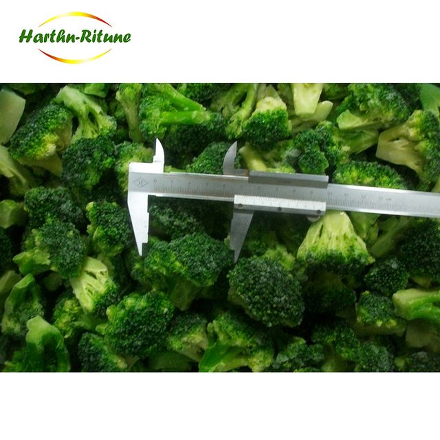 frozen broccoli IQF broccoli Content no Shape Cube Address no Color Green Style FROZEN Ingredients no Manufacturer no Specification - Image 3