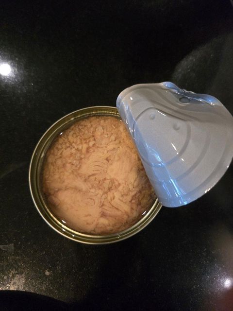 Canned Tuna in vegetable oil - Image 2