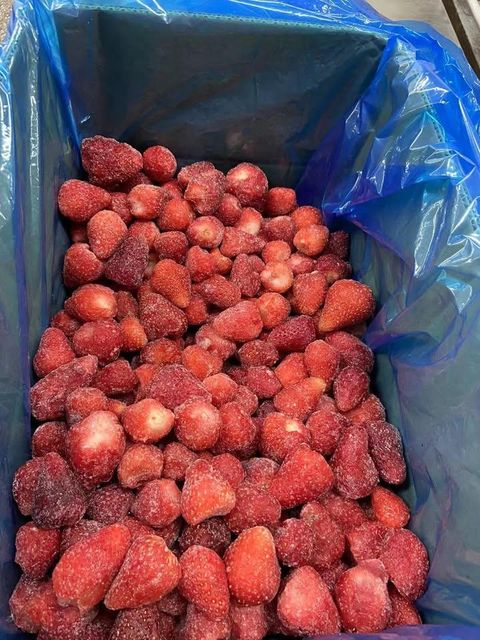 IQF Frozen Strawberry Whole and Cuts Tropical Fruit Vietnam Export - Image 3