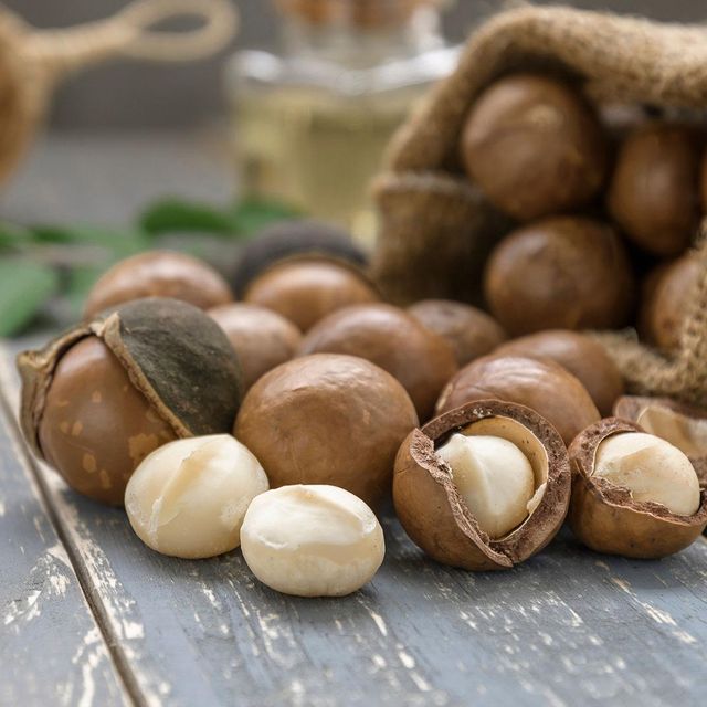 Export Quality Macadamia Nuts Wholesale Macadamia Nuts With Large Whole Kernels And Fresh Natural Flavor For Food Industry Buyers - Image 4