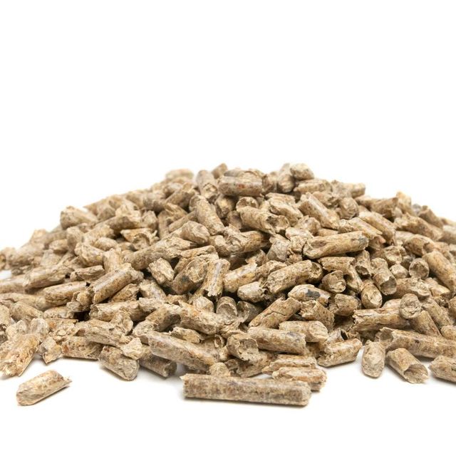 Eco Friendly Wood Pellets High Energy 8mm Wood Pellets For Residential And Industrial Biomass Heating - Image 2