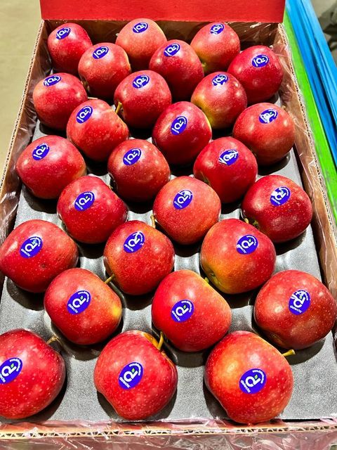 Fresh Royal Gala Apples For Sale - Image 4